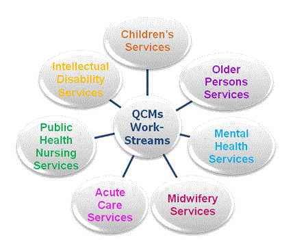 National Quality Care Metrics Work Streams