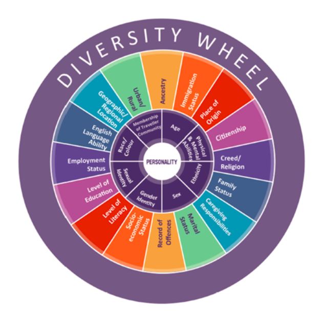 Circular graphic of different diversities