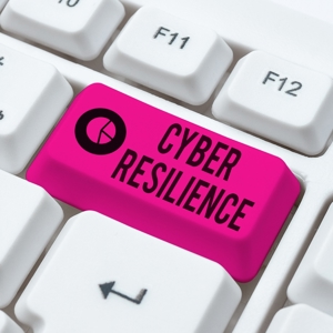 Shutterstock 2045832908