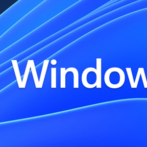 Windows 11 1500X430