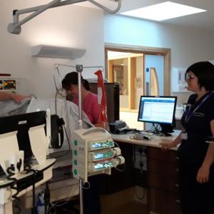 Innovation-in-action---multidisciplinary-users-of-the-system