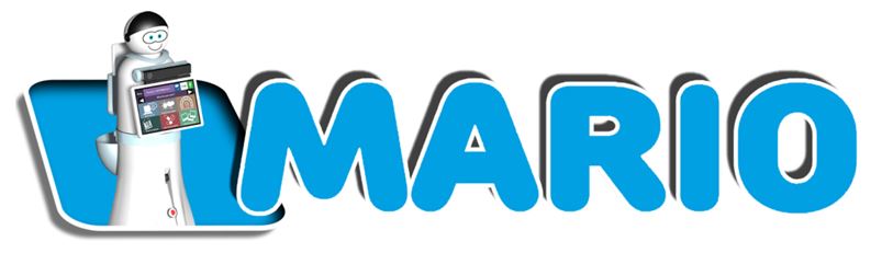 Mario Logo